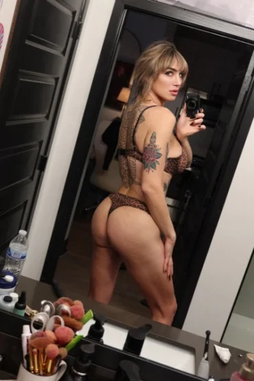 Addison | Photo № 19