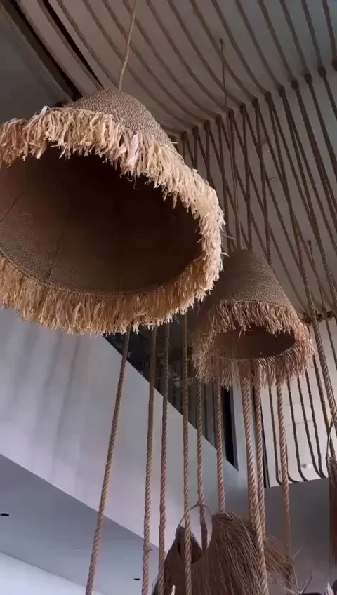 Media of Veronica | 1